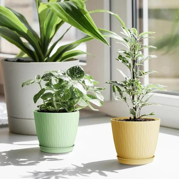 (Pack of 5) 6-Inch Unbreakable Plastic Flower Pots with Drainage & Saucers – Indoor & Outdoor Planters